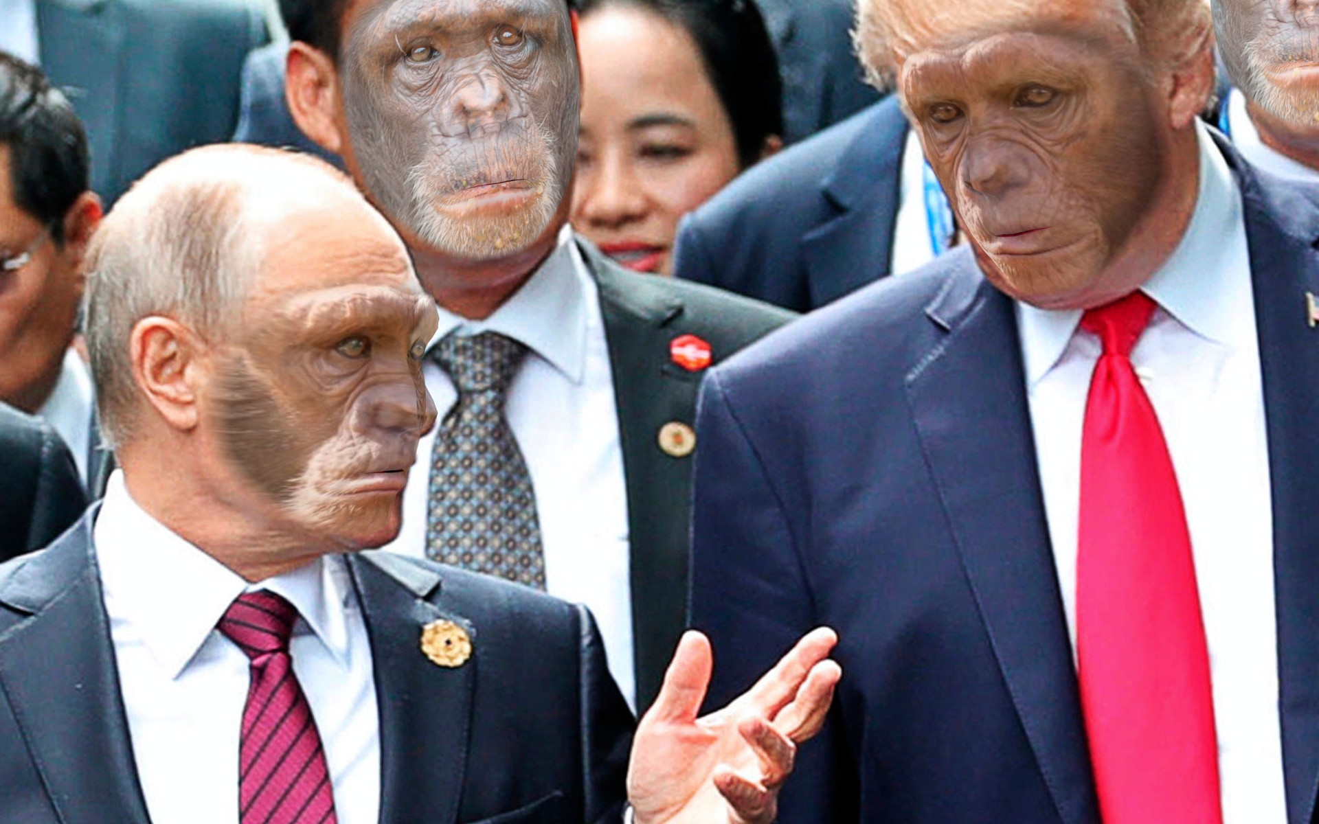 monkey-planet-sharing.jpg