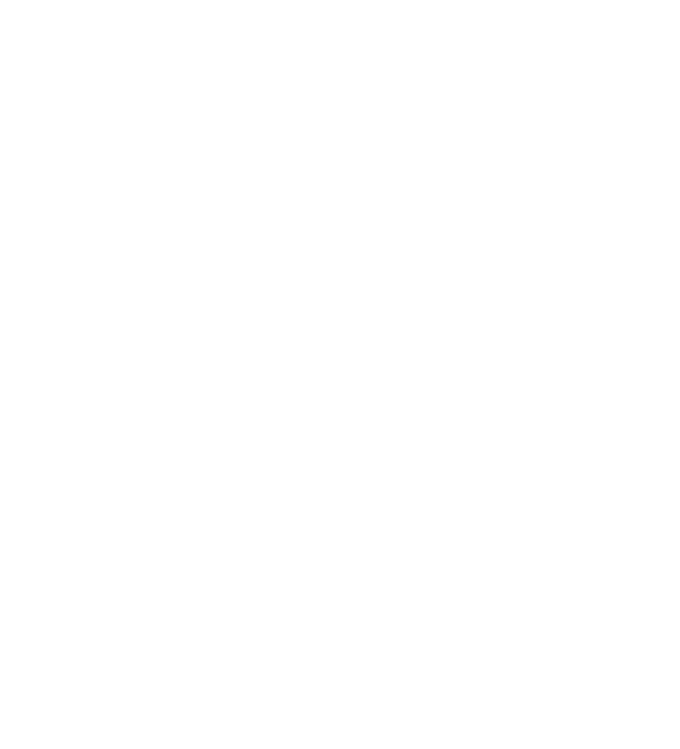 stwst-orig-ohne_weiss.png